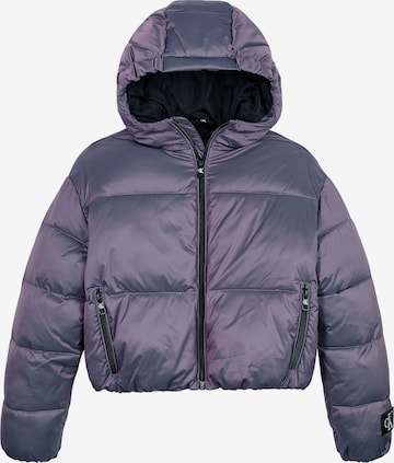 Calvin Klein Jeans Winter Jacket in Purple: front