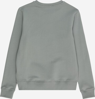 Calvin Klein Jeans Sweatshirt i grøn