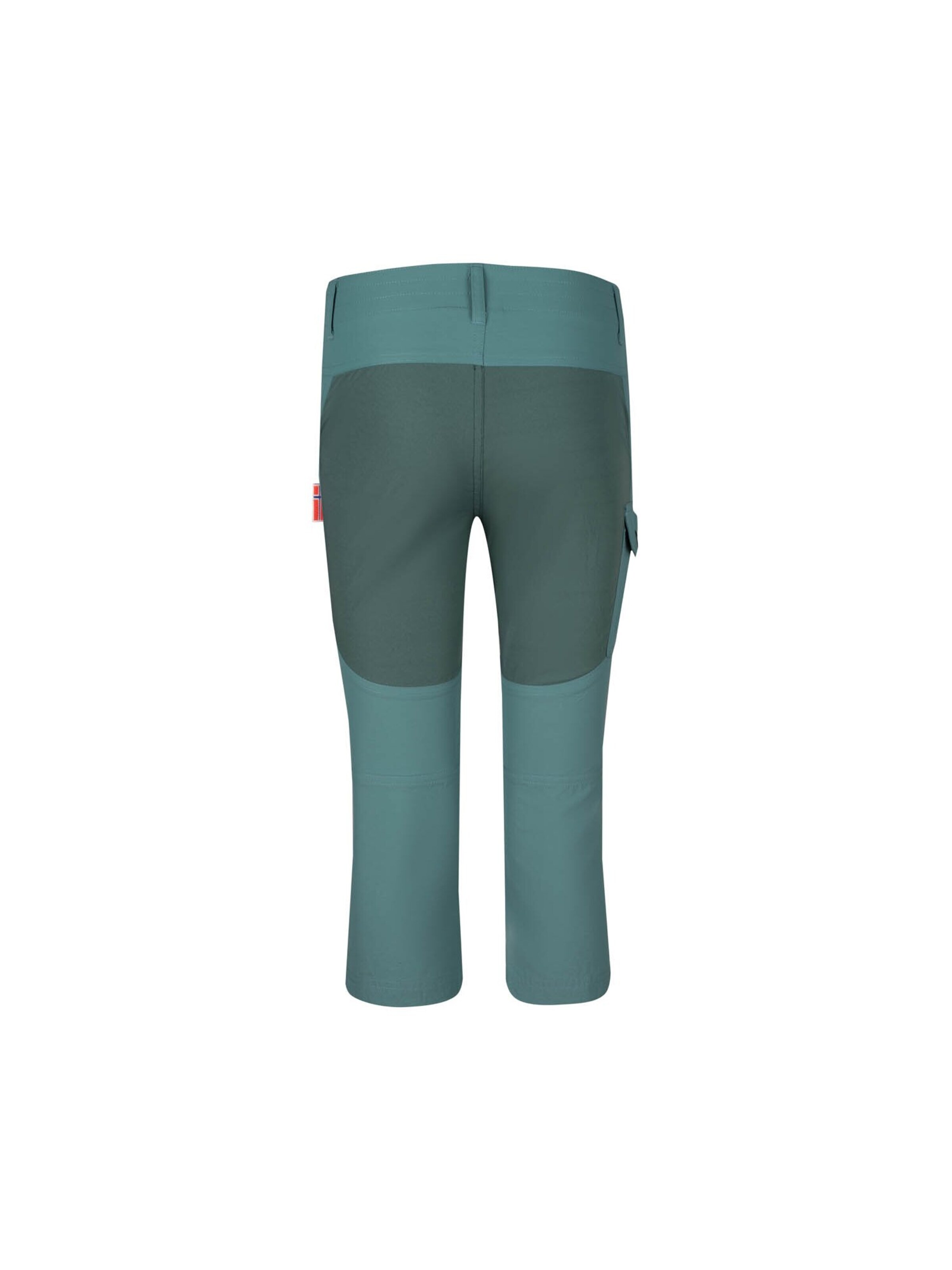TROLLKIDS Regular Pants in Green