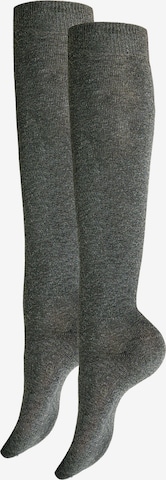 Hudson Kniestrümpfe 'Only' in Grau: Vorderseite