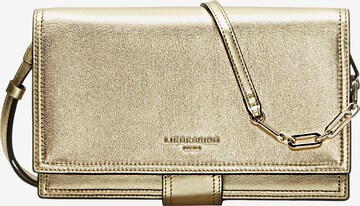 Liebeskind Berlin Clutch 'Lisa' in Goud: voorkant