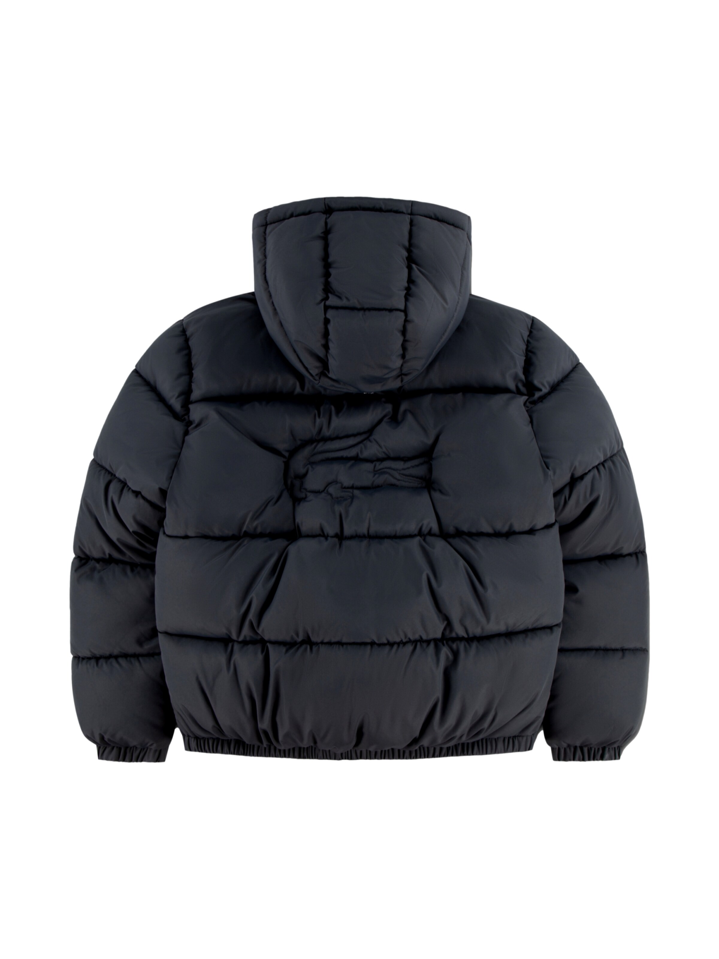 Giacca invernale di LACOSTE in grigio