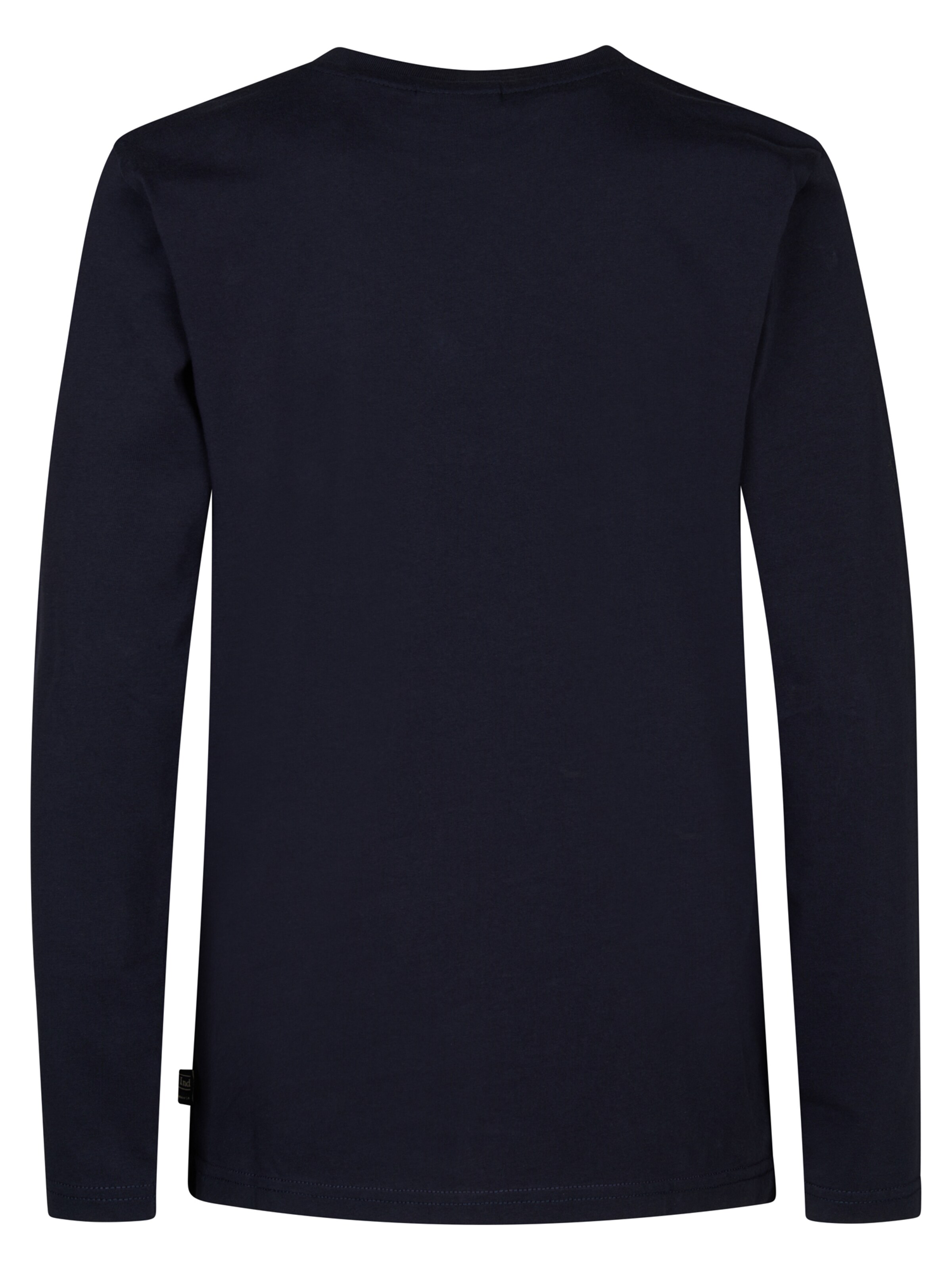 Petrol Industries Shirt in Mixed colours