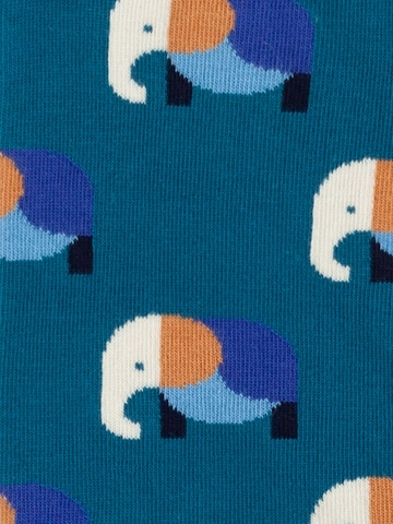 Chaussettes 'Wild Steps' DillySocks en mélange de couleurs