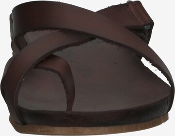 COSMOS COMFORT T-Bar Sandals in Brown