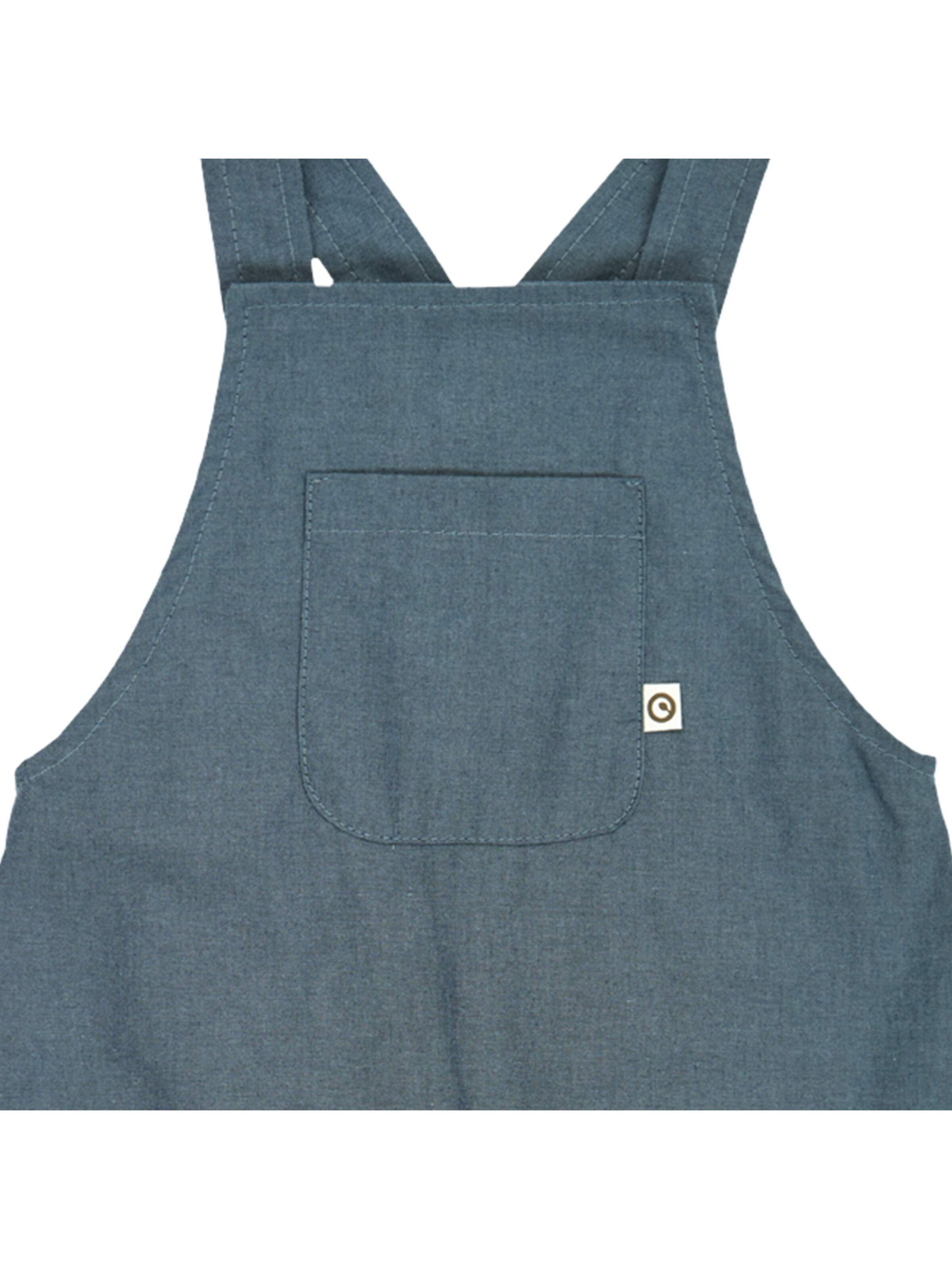 regular Pantaloni con pettorina di Müsli by GREEN COTTON in blu