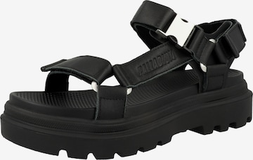 Palladium Sandal 'Pallacruise' in Black: front