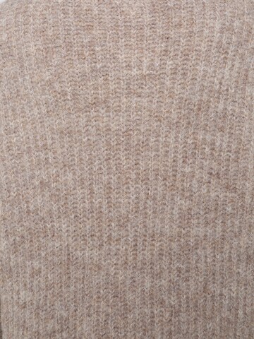 Only Petite Pullover 'ONLMAGGIE' in Braun