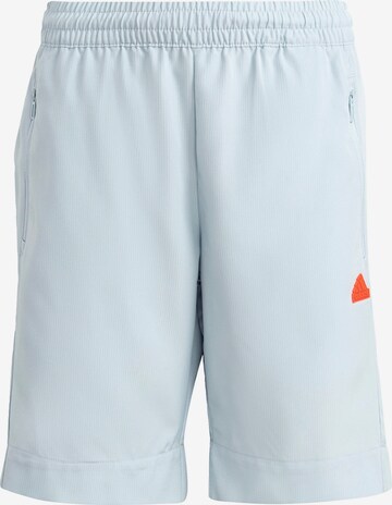 ADIDAS SPORTSWEAR Regular Sportbroek in Blauw: voorkant