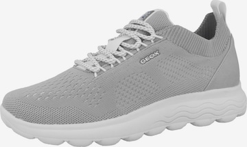 Baskets basses 'Spherica' GEOX en gris : devant