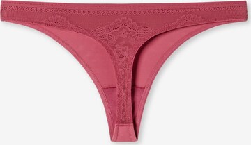 SCHIESSER Thong in Red