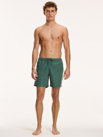 Shorts de bain Shiwi en vert