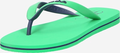 Polo Ralph Lauren Tongs en bleu marine / vert clair, Vue avec produit