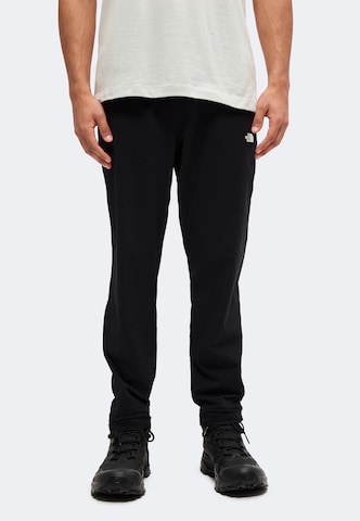 Effilé Pantalon outdoor 'WANDER 2.0' THE NORTH FACE en noir : devant
