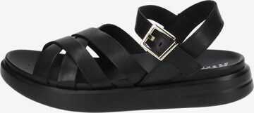 GEOX Sandalen met riem in Zwart