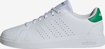 ADIDAS SPORTSWEAR Sneaker 'Advantage Base 2.0' in Weiß: Vorderseite
