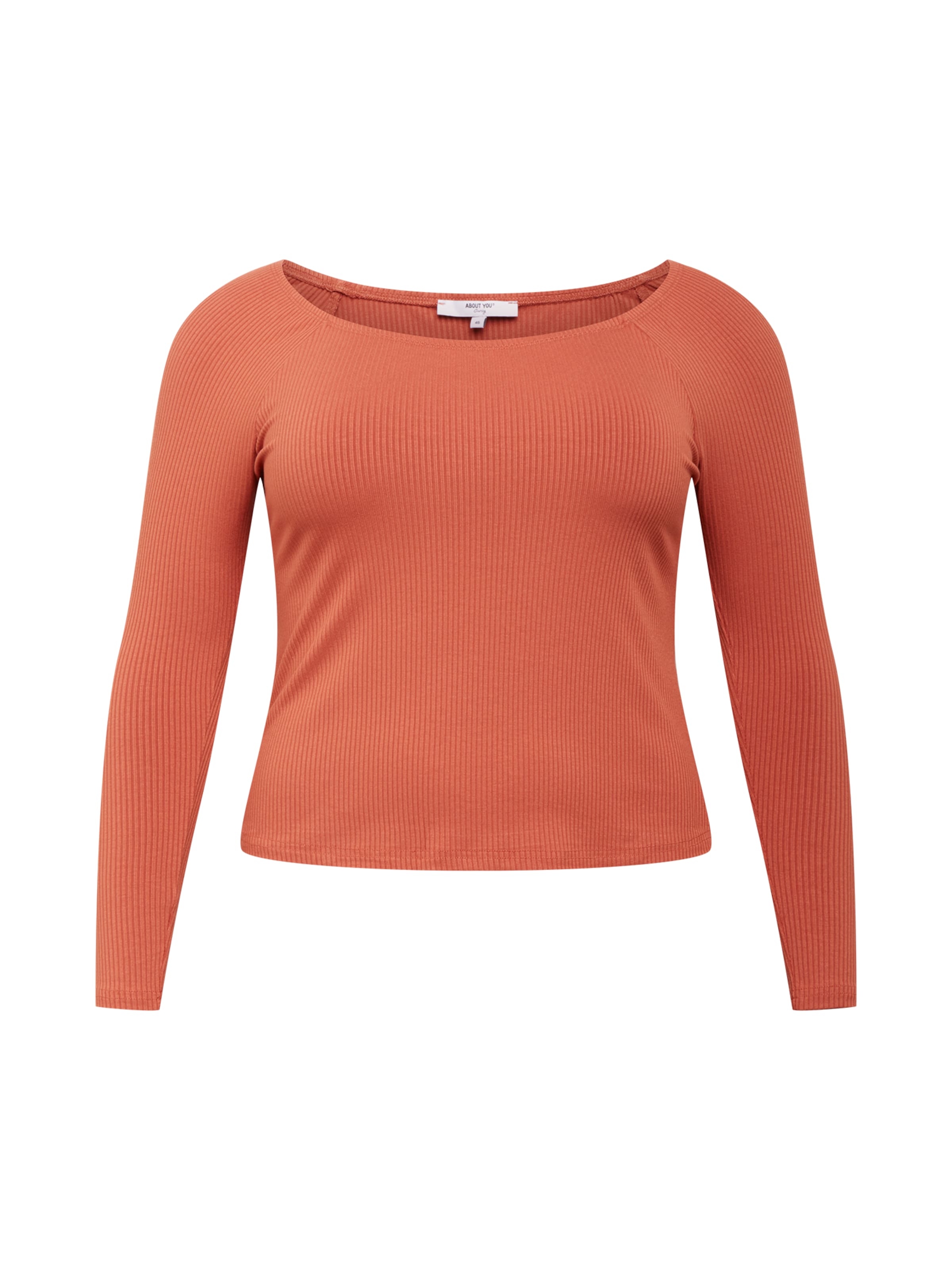 ABOUT YOU Curvy - Camiseta 'Juli' en marrón: frente