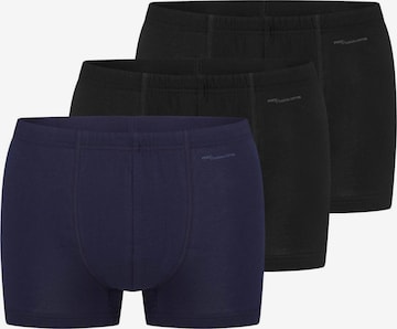 Mey Boxer shorts 'Casual Cotton' in Blue: front