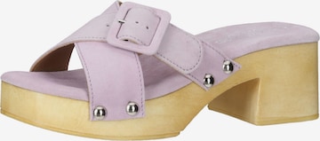 LAZAMANI Clogs in Purple: front