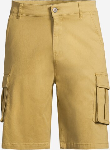 Pantalon cargo AÉROPOSTALE en jaune : devant