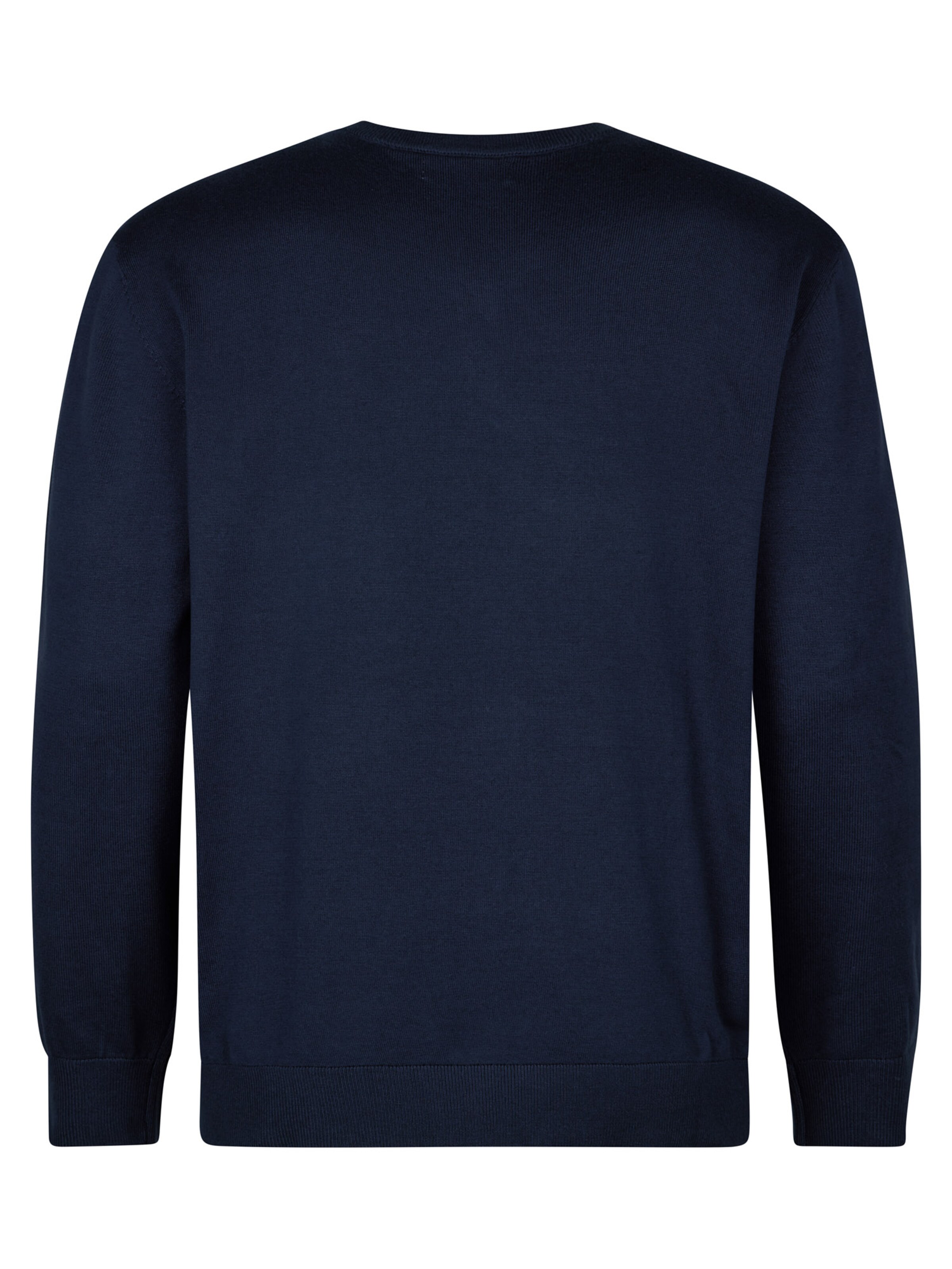 Petrol Industries Sweater in Blue