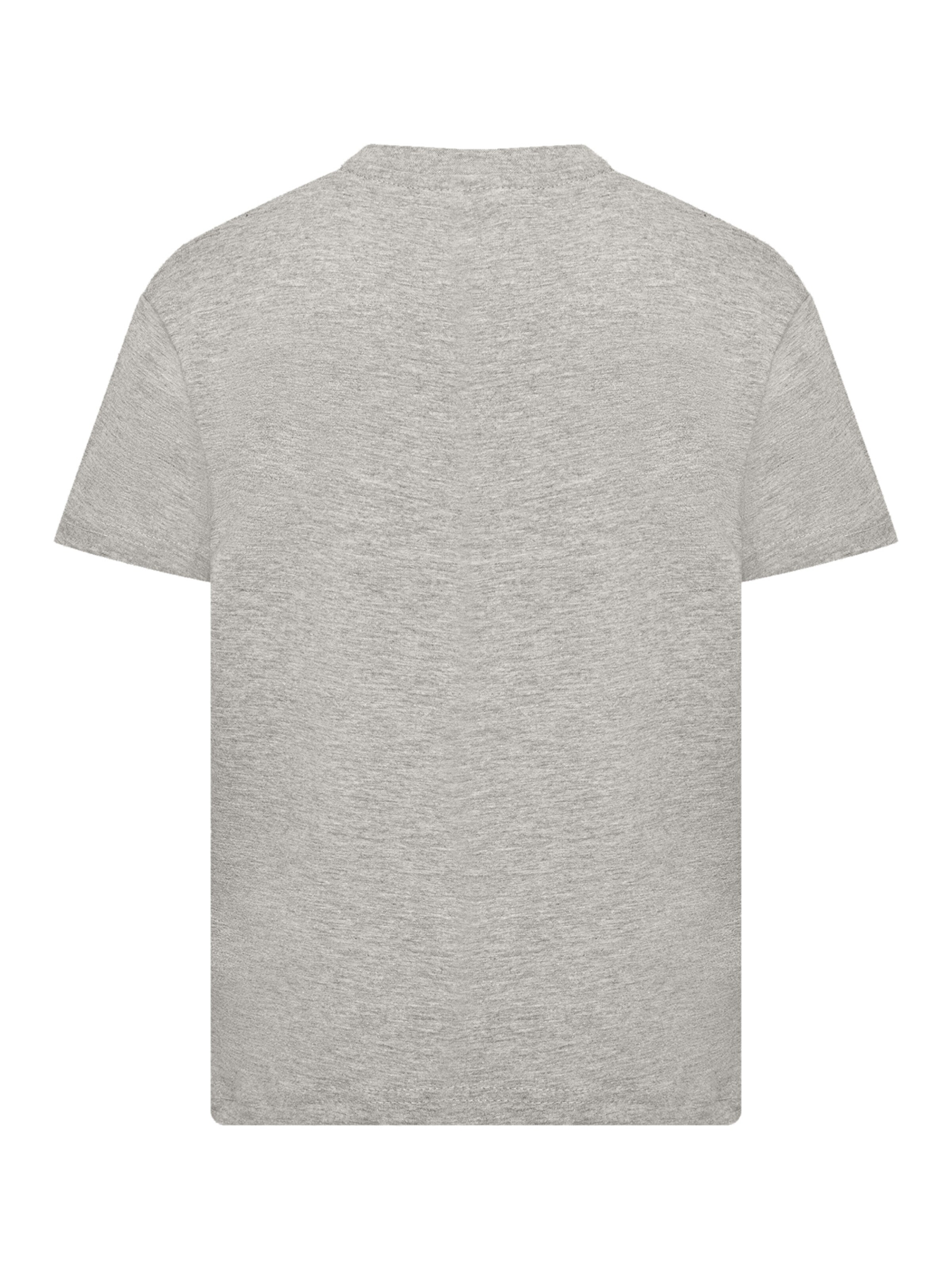 F4NT4STIC T-Shirt 'Hike More Mountains' in Grau