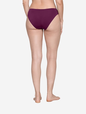 JOOP! Slip ' Intimate Apparel ' in Lila