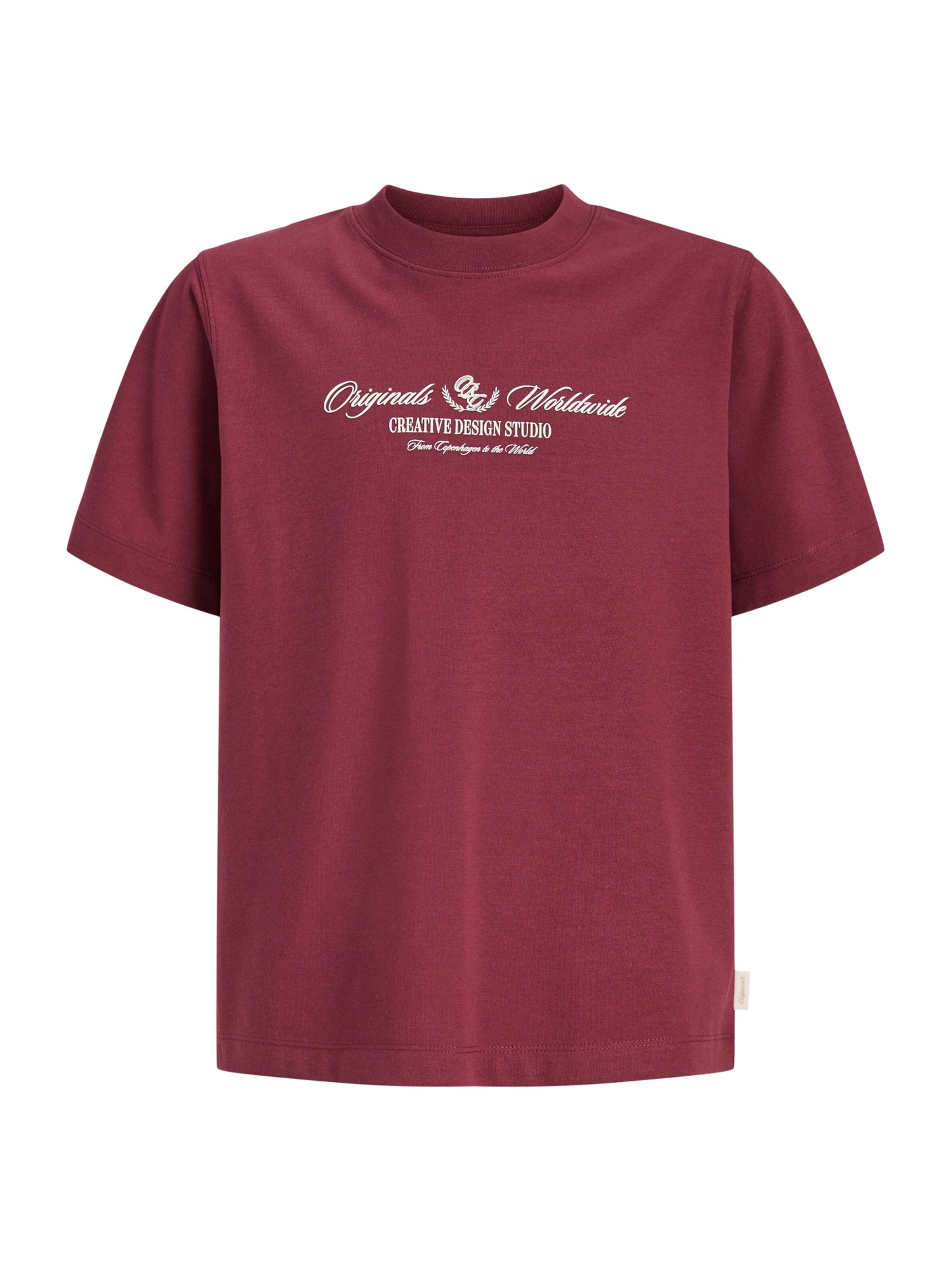 Jack & Jones Junior - Camiseta 'JORTORONTO' en marrón: frente