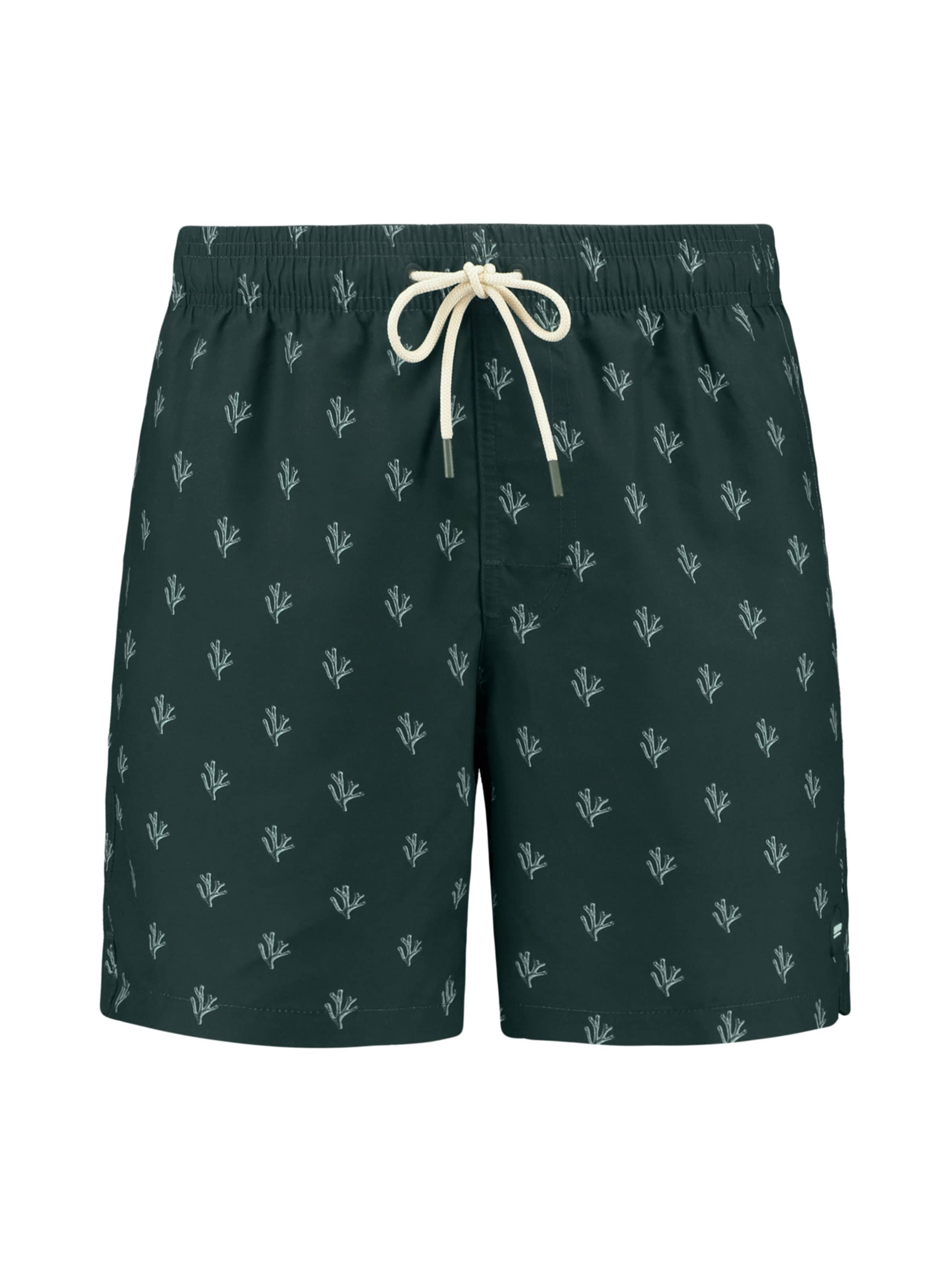 Shiwi Плавательные шорты 'Mike' в Темно-зеленый, Обзор товара