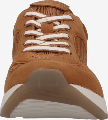Sneaker bassa di GABOR in marrone