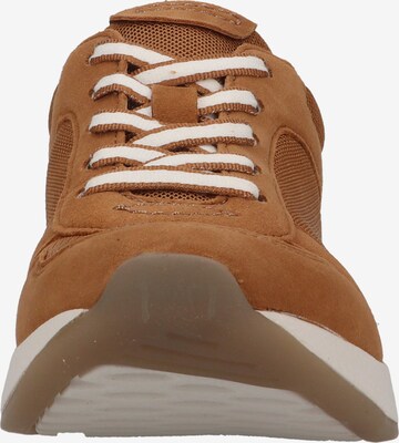 GABOR Sneaker in Braun