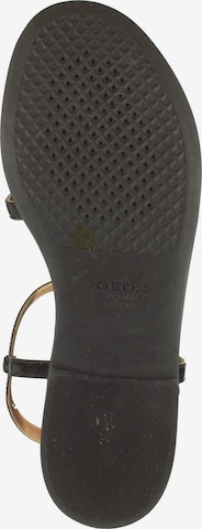 GEOX Sandalen met riem in Zwart