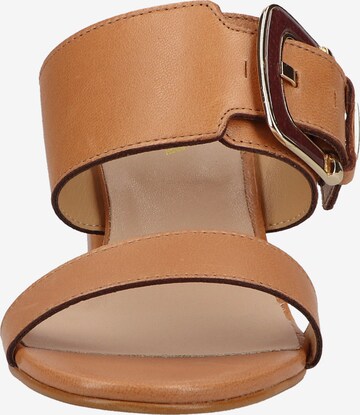 Mule SCAPA en marron