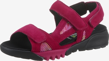 WALDLÄUFER Sandale in Pink: predná strana
