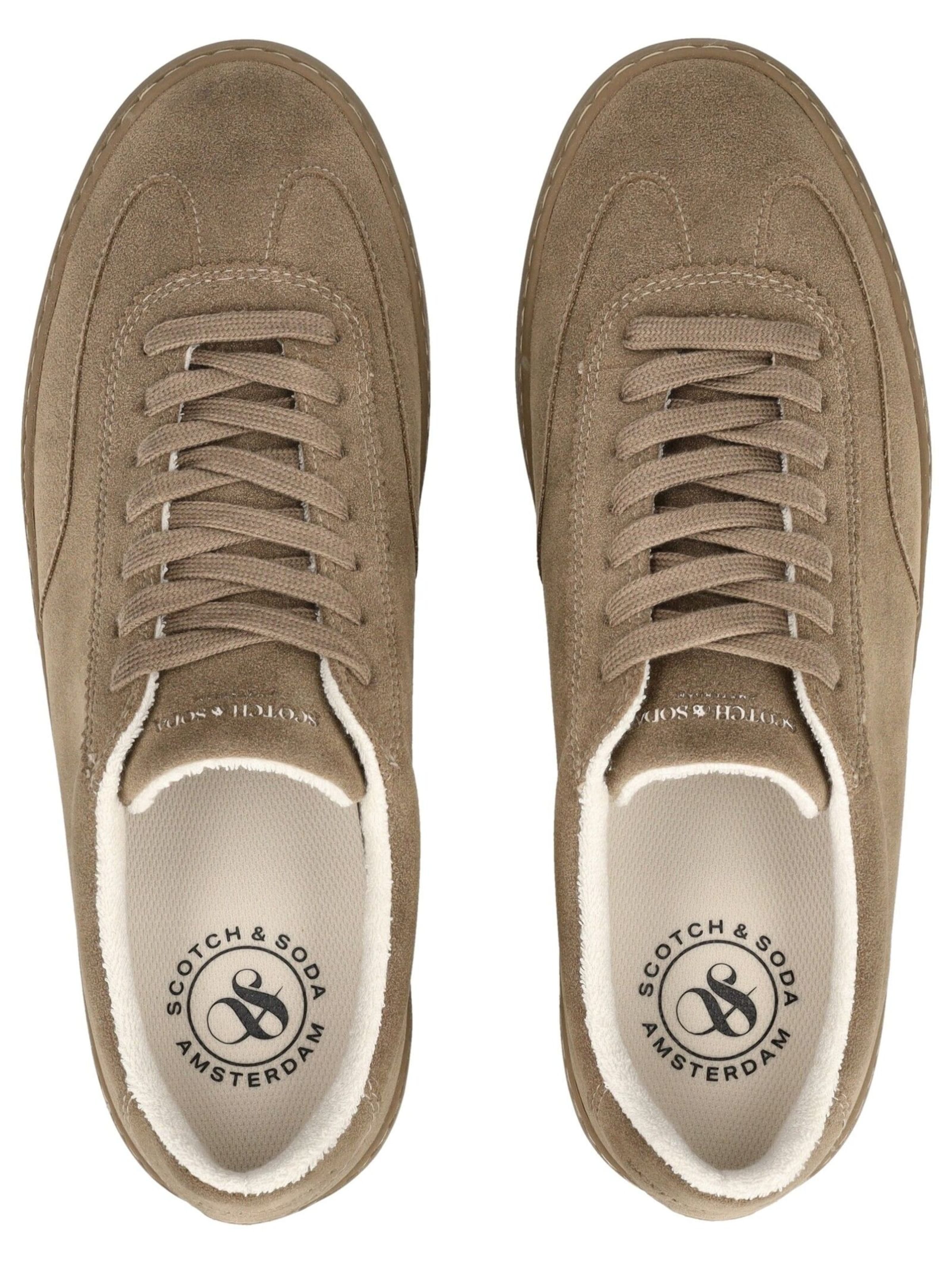 Baskets basses SCOTCH & SODA en marron