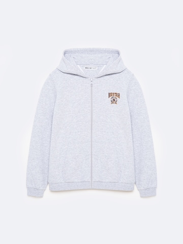 BIG STAR Sweatjacke 'ARON' in Grau