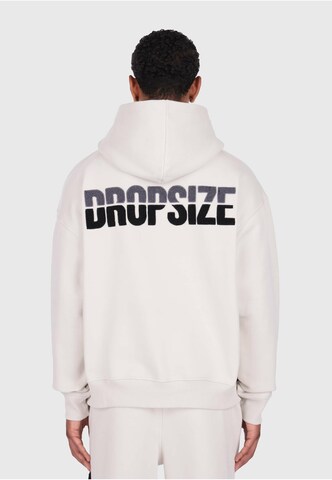 Dropsize Sweatshirt in Grau: Vorderseite