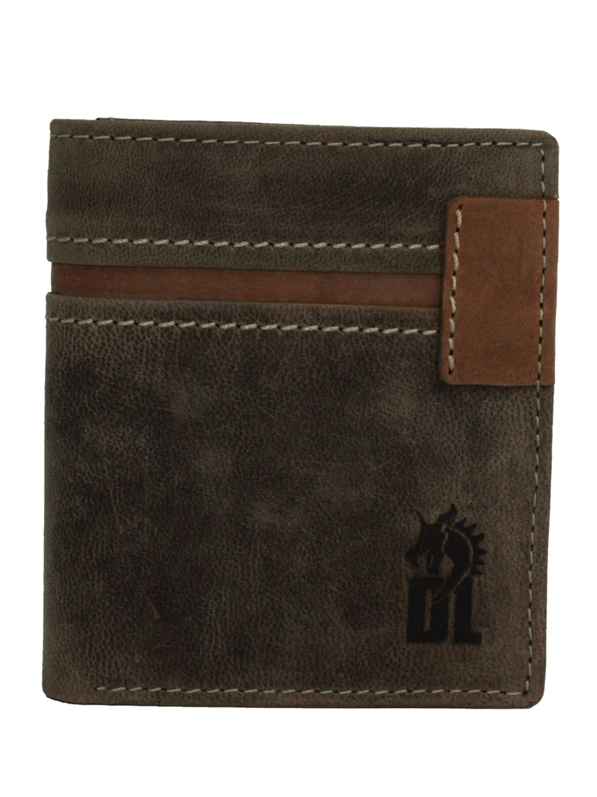 DrachenLeder - Cartera en marrón: frente