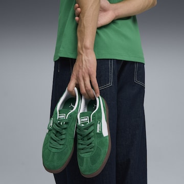 PUMA Platform trainers 'Palermo' in Green