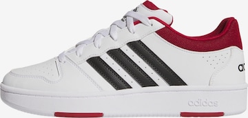 ADIDAS SPORTSWEAR Sneakers laag 'Hoops' in Wit: voorkant