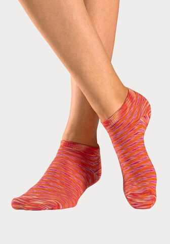 H.I.S Socks in Blue
