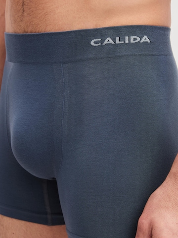 CALIDA Boxershorts 'Seamless Natural' in Grijs