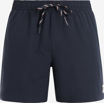 PROTEST Swimming shorts 'PRTAgden' in Blue: front