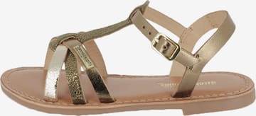 Sandales 'Ledersandalen für Kinder von Belarbi Baguera' Les Tropéziennes en marron : devant