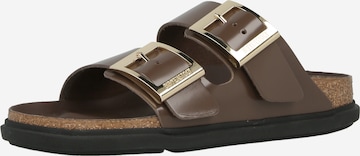 BIRKENSTOCK Pistokkaat 'Arizona Lena' värissä ruskea: etupuoli