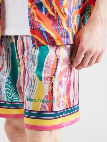 Carlo Colucci Regular Shorts in Mischfarben