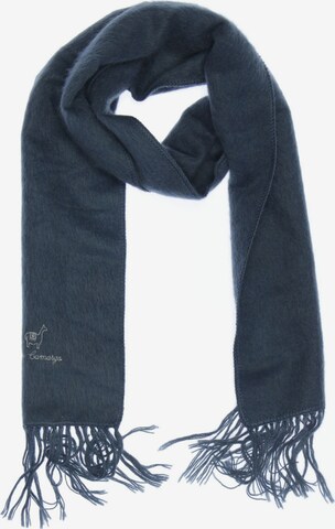 Alpaca Carmargo Scarf & Wrap in One size in Blue: front