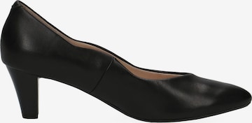 CAPRICE Pumps in Zwart