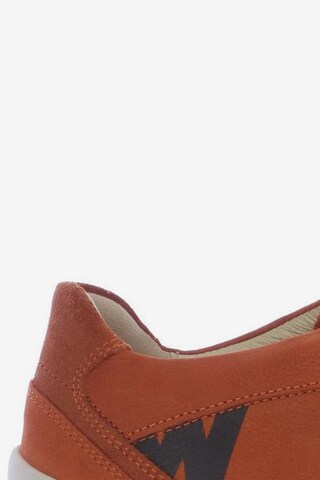 Wolky Sneakers & Trainers in 39 in Orange