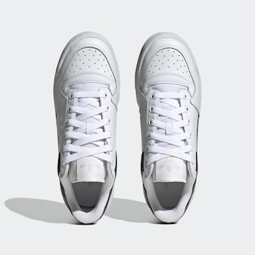 Baskets basses 'Forum Bold' ADIDAS ORIGINALS en blanc